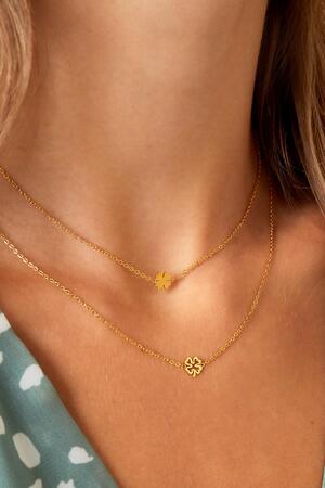 Necklace open clover Gold Stainless Steel h5 Picture2